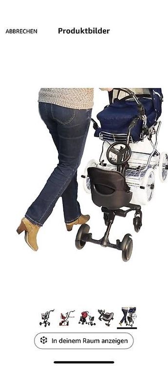 Eichhorn Uptown Rider 5