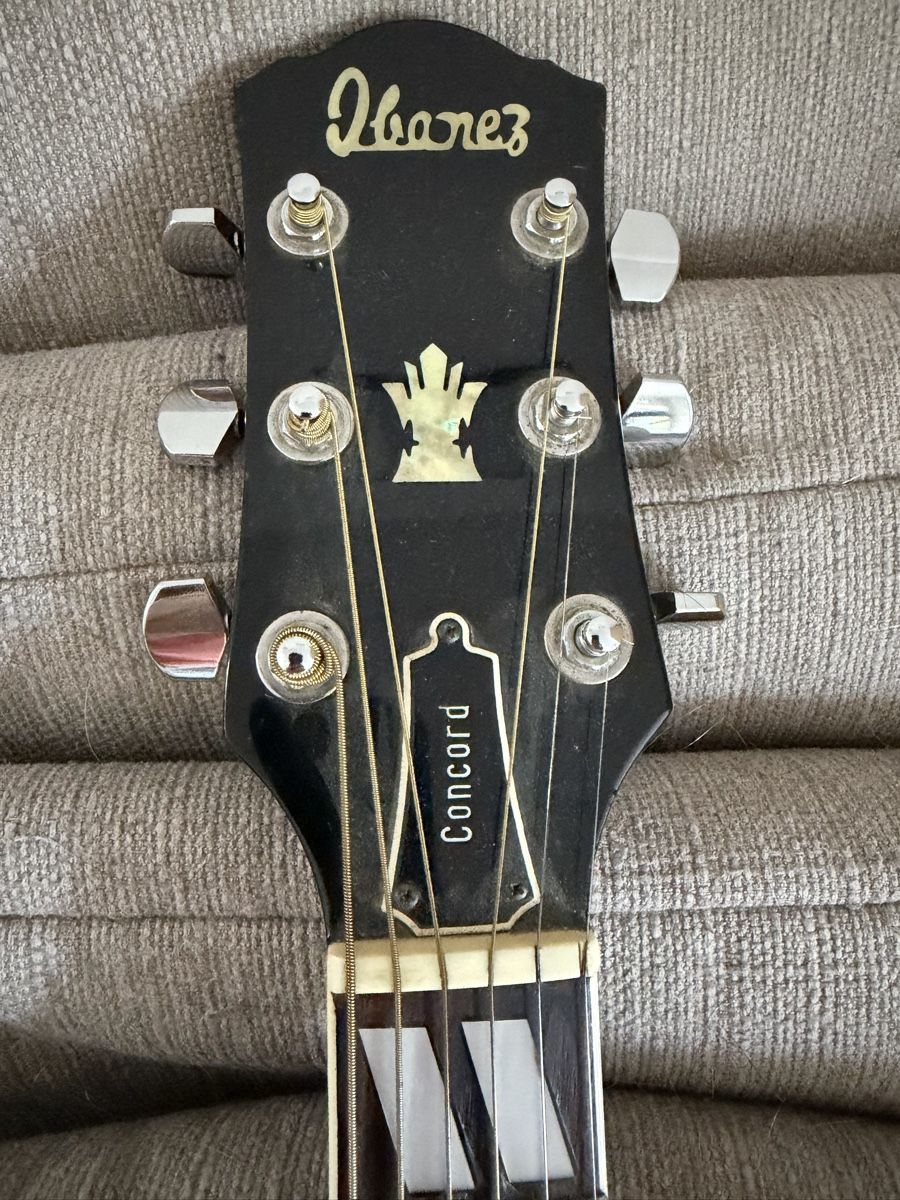 Ibanez Strumenti musicali: Ibanez Concord gekauft 1979 – Usato da Domat/Ems venduto da TETSUDO 1