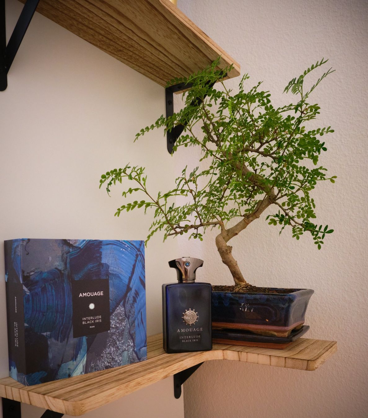 Amouage Parfum & Eau de Toilette: Interlude Black Iris, AMOUAGE (DECANT / Abfüllung) – Gebraucht aus Neuchâtel von switzer_scent 1