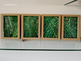 Farbfotografie Morgentau, vier Bilder