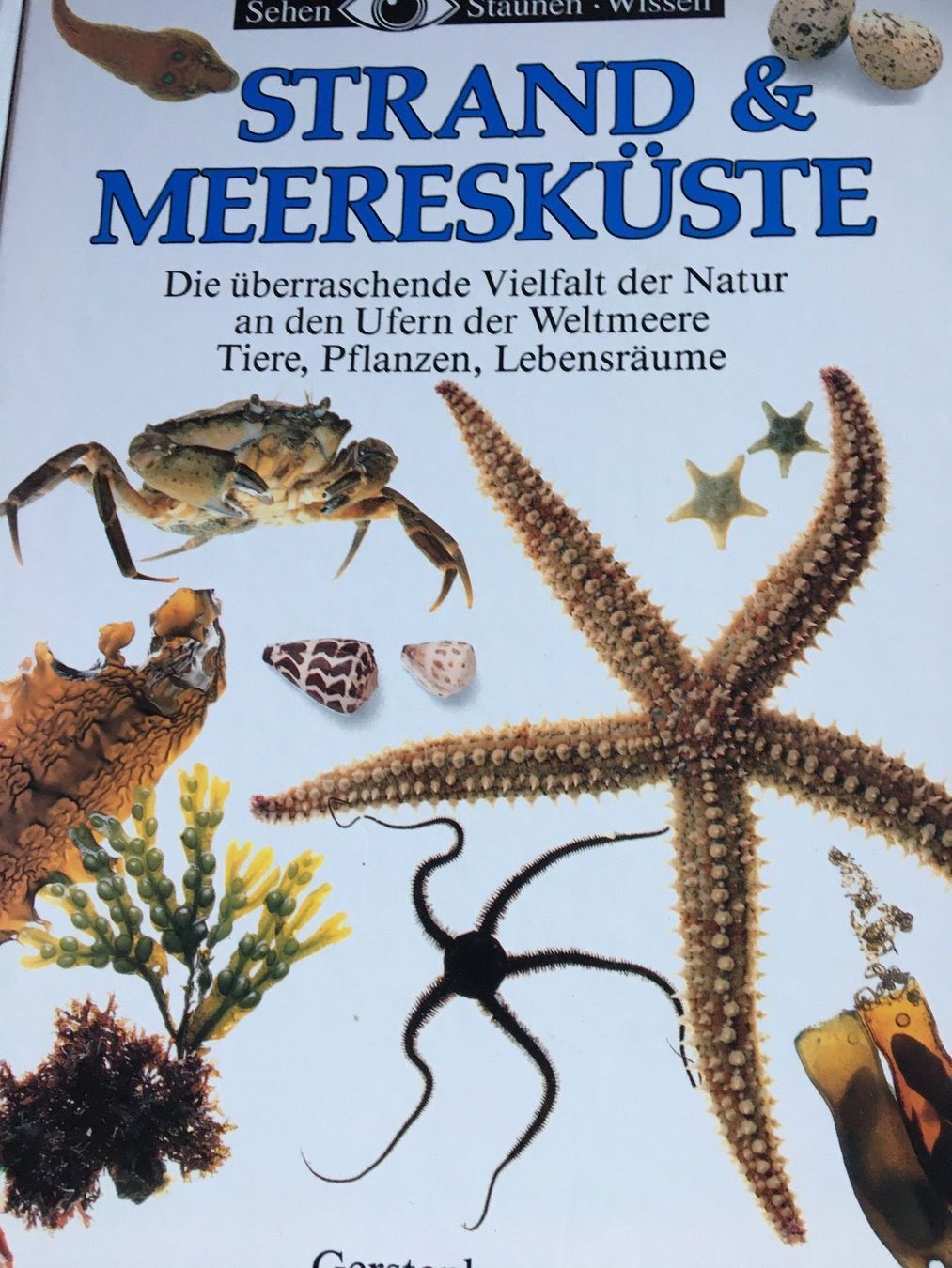 Bücher: Strand und Meeresküste – Gebraucht aus Arth von Vrecam51