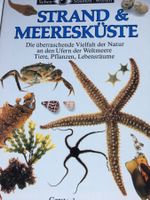 Strand und Meeresküste