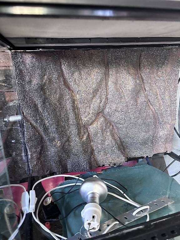 Terrario: Terrarium exoterra  – Usato da VERSOIX venduto da Bormic 2