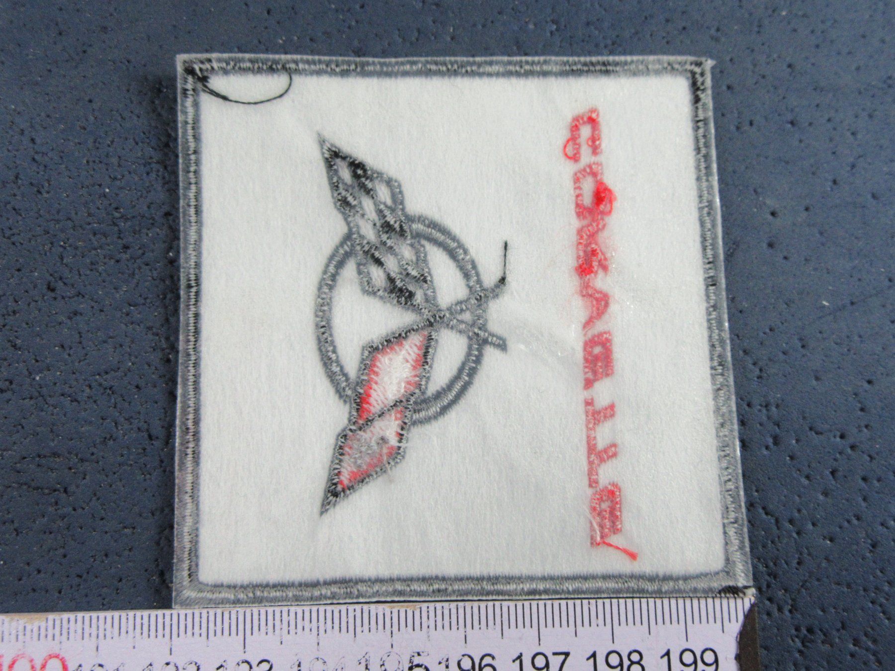 Chevrolet Patches: COEVETTE RACING SCHWEIZ AUTO LOGO AUFNÄHER PATCH GESTICKT – Neu (gemäss Beschreibung) aus Ettingen von Hausi4711 1