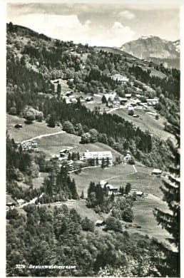 Cartes postales: Braunwaldterrasse – D'occasion à Ottikon b.Kemptth. par Neptun1974