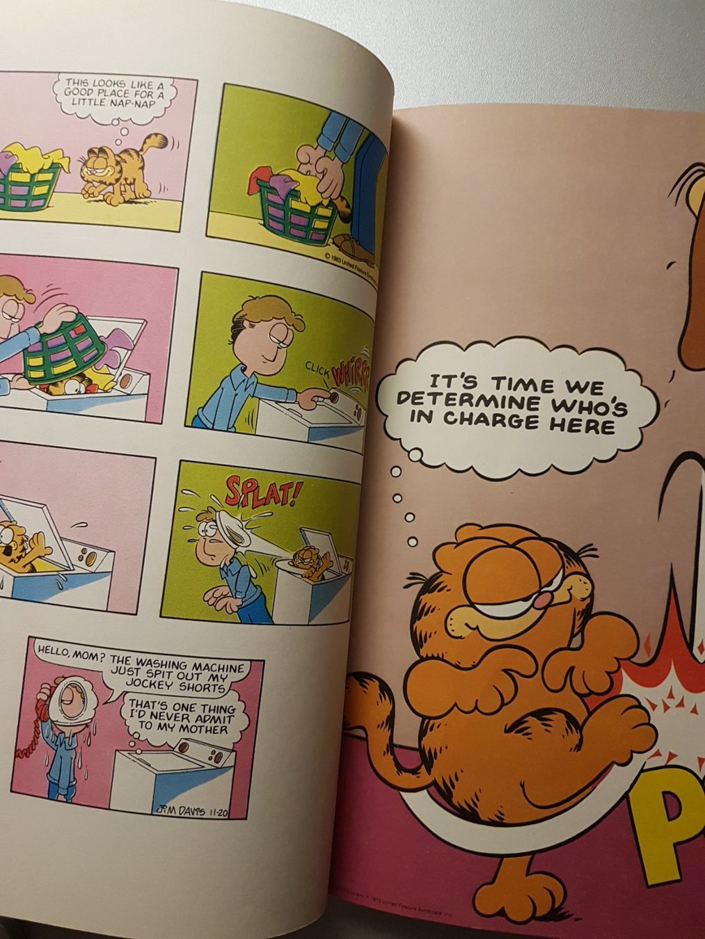Fumetti: Comic The Garfield Gallery 2 – Usato da Binz venduto da tarkrx 2