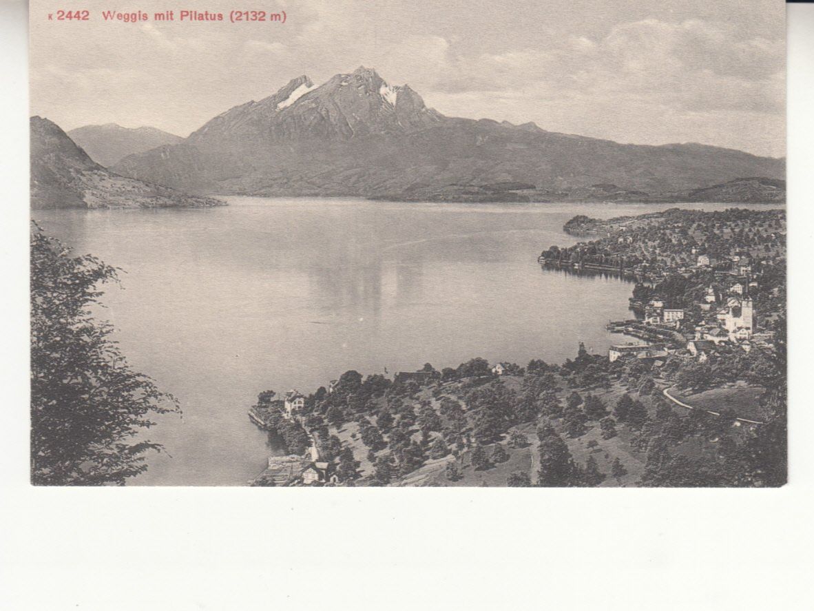 Cartoline postali: Weggis ca. 1900 – Usato da Bürglen TG venduto da StampGraf