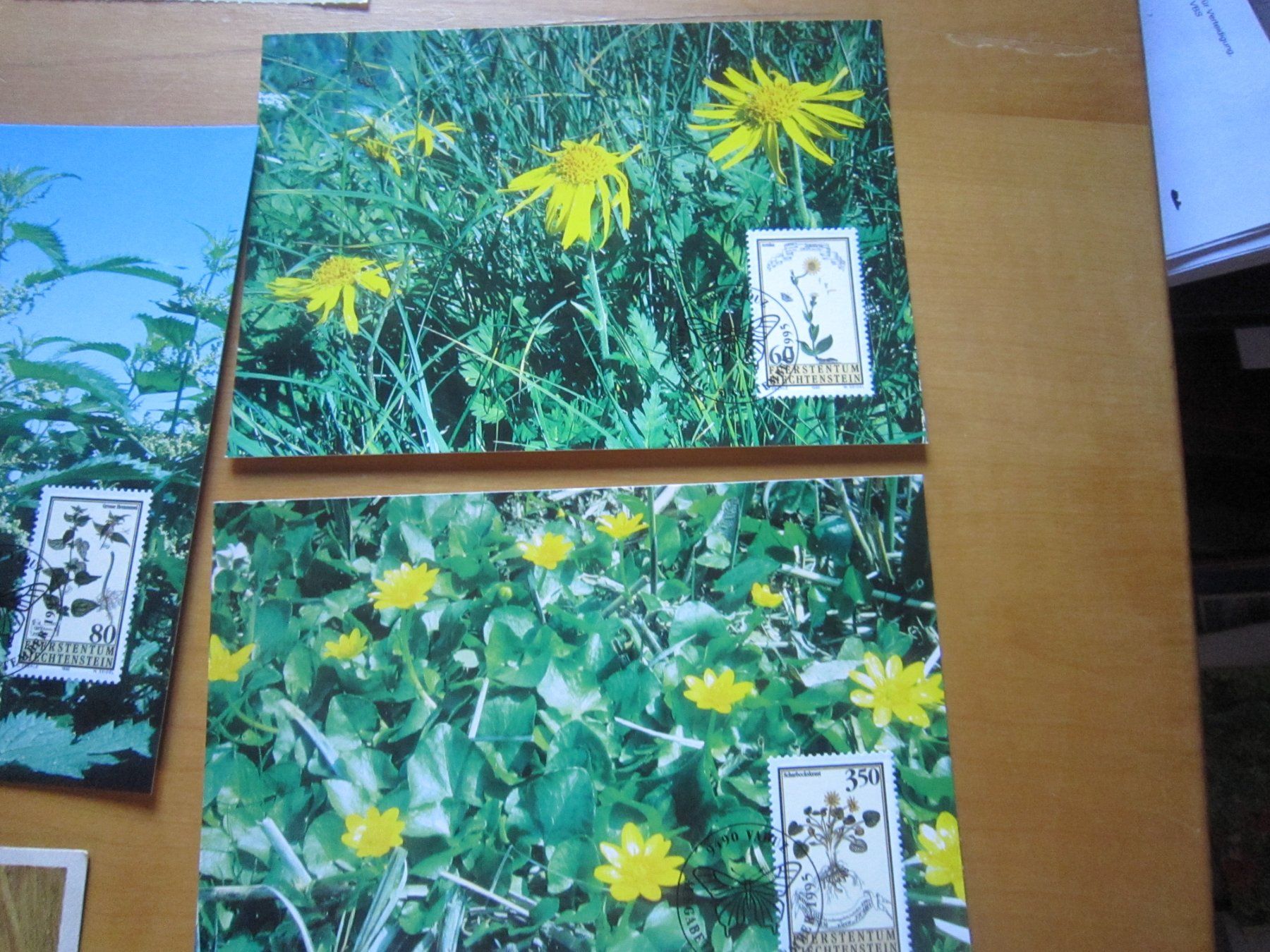 Ansichtskarten: No2 Postkarten Blumen – Gebraucht aus Gordola von Polentaefung 4