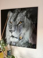 Bild Lowe Glasdruck
