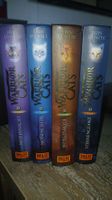 Warrior Cats Buchreihe Erin Hunter St.2, Band 1-4 gebrauc