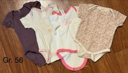 4er Set Bodies Gr. 56,