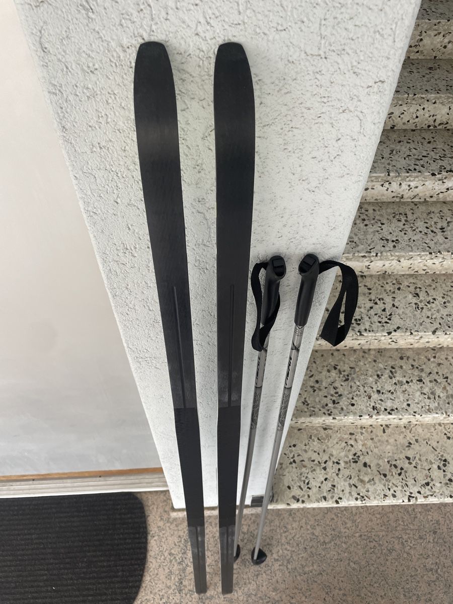 Skis: Fischer Langlaufski Nordic Cruiser, 184 cm – Gebraucht aus Minusio von pau_vg87 2
