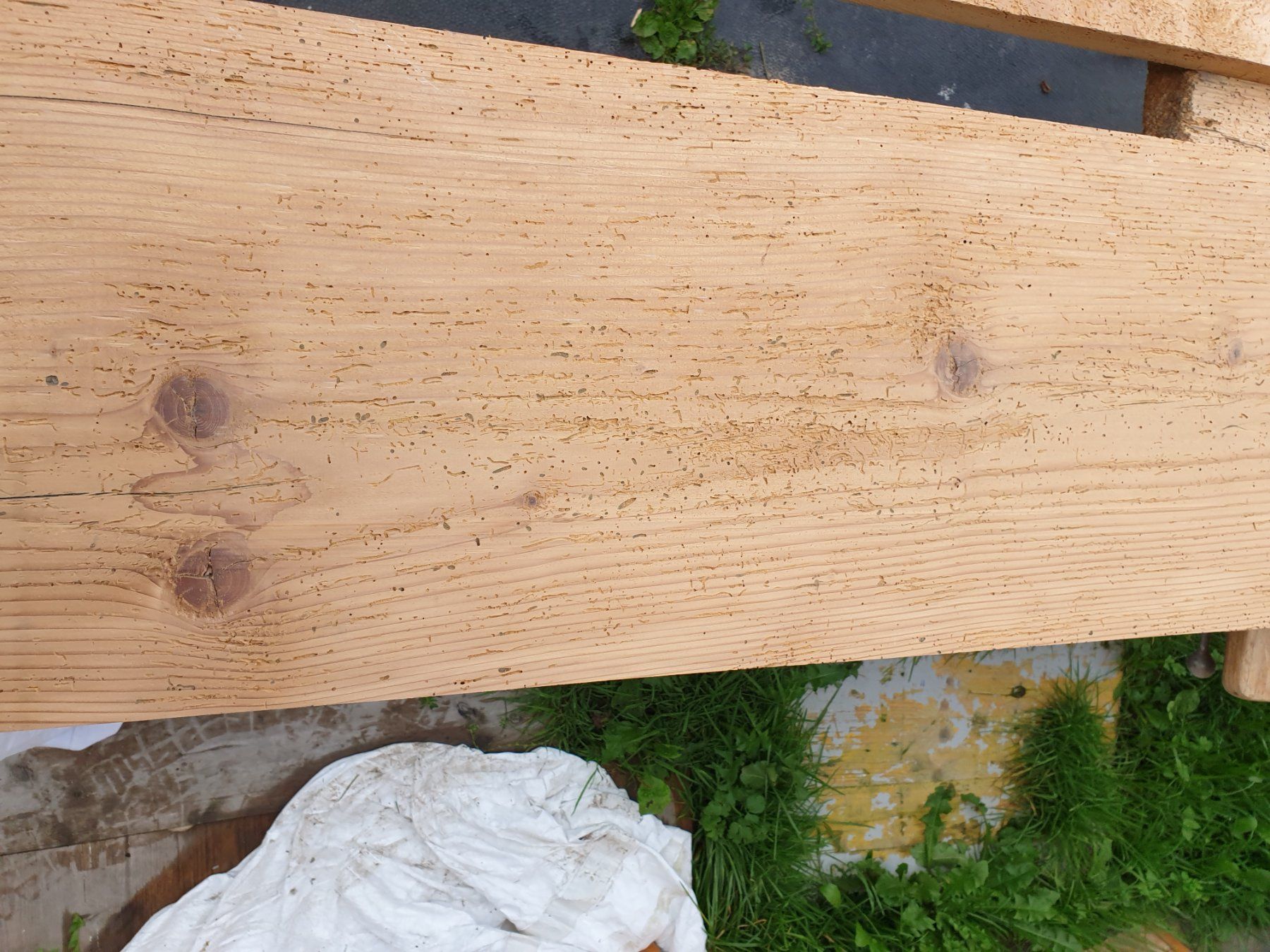 Articoli in legno: Altholz Bretter antik – Usato da kaltbrunn venduto da kralj02 1