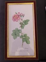 2x Wand Rosenbilder gerahmt Shabby Chic Vintage Deko