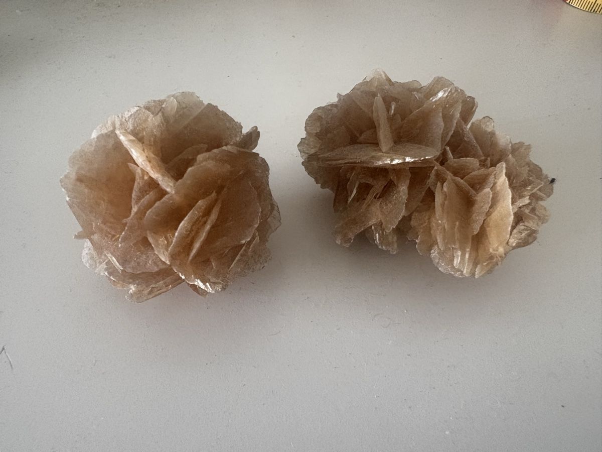Minerali & Pietre curative: Wüstenrose aus Selenit – Usato da Schlieren venduto da pauley102 1