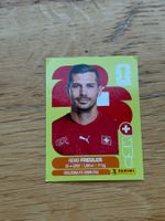 Panini SUI 11