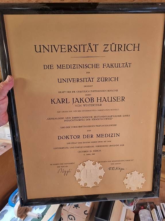Trattori: Original Doktorurkunde  – Usato da Bauma venduto da Schrinerlady91