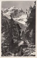 Piz Roseg 1950, falsche Stempelzahlen