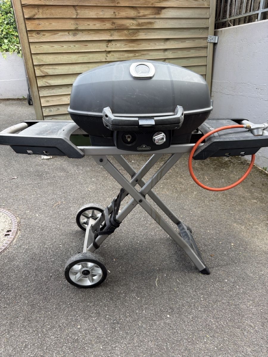 Griglie: Napoleon Grill – Usato da Rothrist venduto da Jacktk