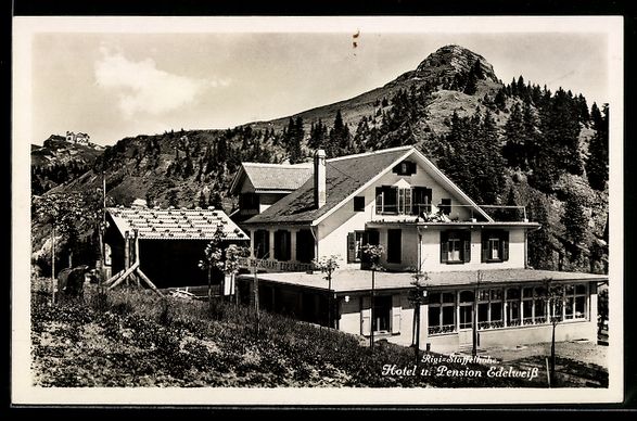 Cartoline postali: Rigi, Staffelhöhe, Hotel-Pension Edelwe – Usato da Berlin venduto da bartko-reher