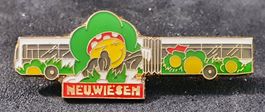 V978 - Pin Bus Neuwiesen