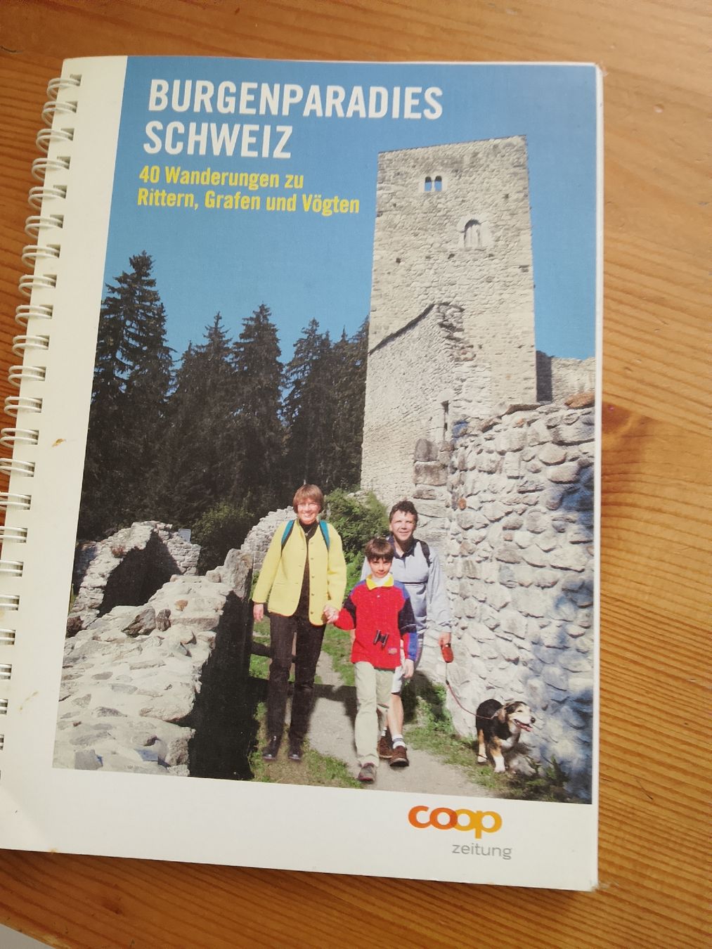 Libri: Burgenland Schweiz  – Nuovo (secondo la descrizione) da Volken venduto da katz5
