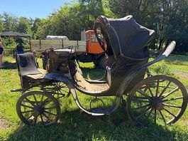 Vendo carrozza per cavalli