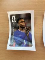 Coca Cola Panini Sticker World Cup