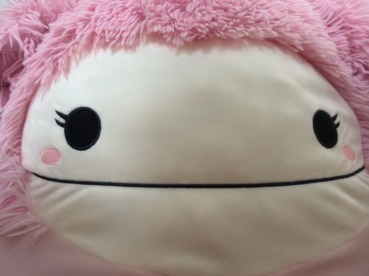 Squishmallows Giocattoli: Squishmallow - rosa/süsses Monster - Gewaschen! – Usato da Fällanden venduto da Melinazh 1