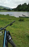 Cannondale Carbon Habit SE