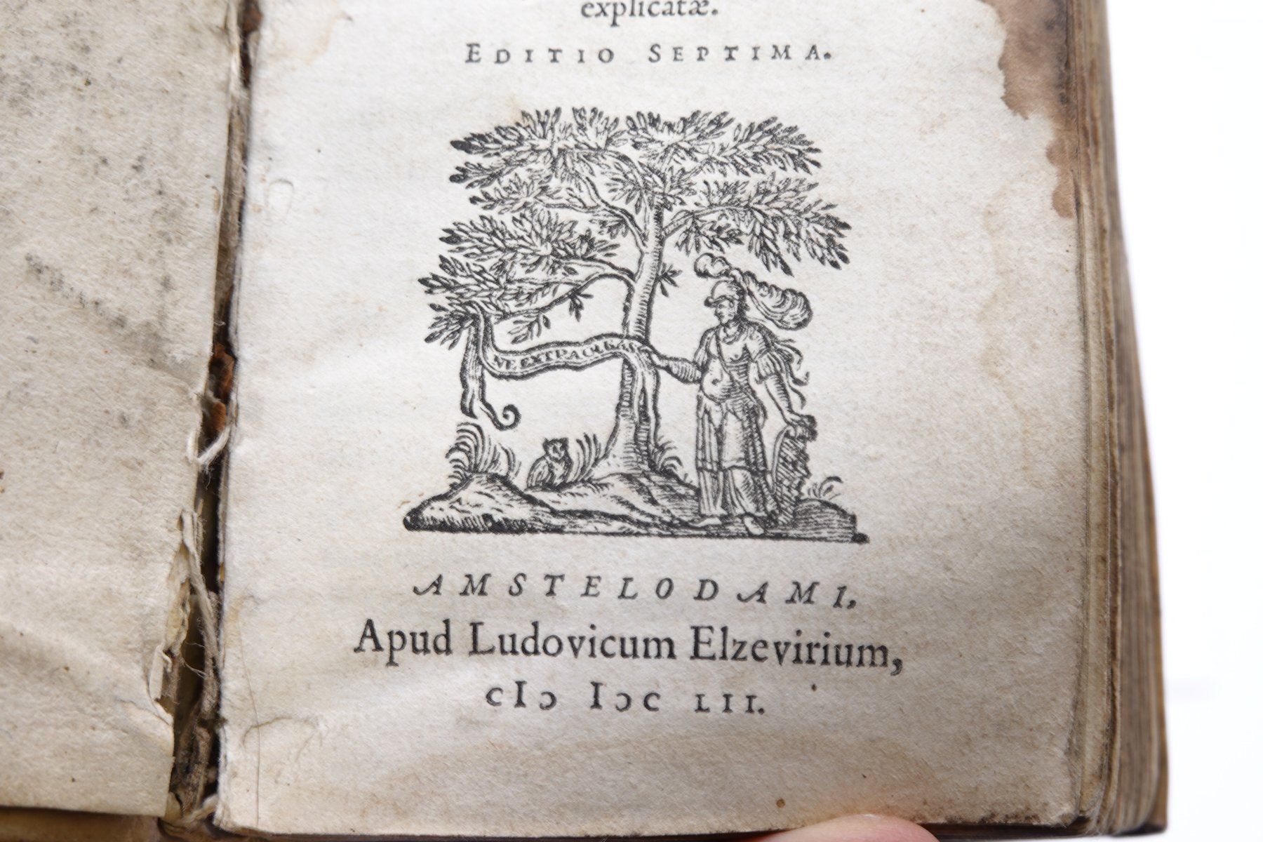Libri: Antikes Buch 1652 Antoni Perez – Usato da Trin venduto da evolrof 1