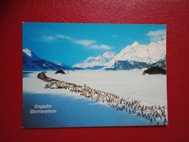 Engadiner Skimarathon auf dem Silsersee (101)