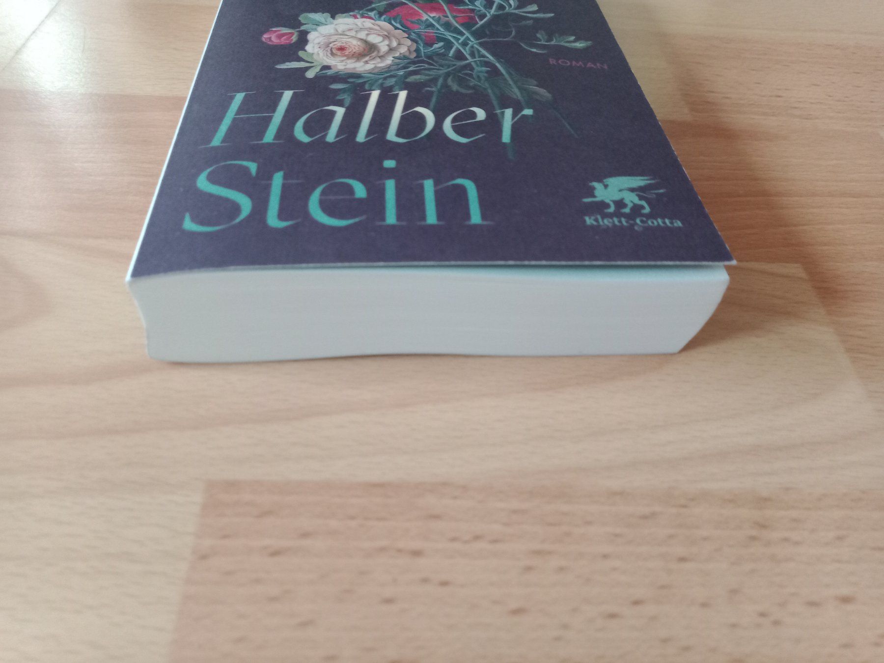 Bücher: Iris Wolff Halber Stein Roman 14.02.2026 – Gebraucht aus Wangen b. Olten von EmilythestrangeX 2