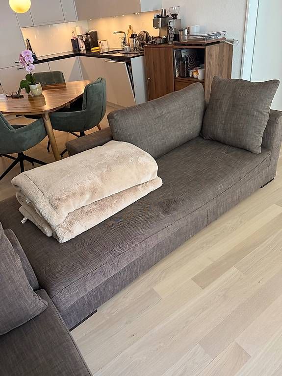 Divani: 2 Eggenberger couches available – Usato da Zürich venduto da sma_2hm9