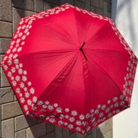 Vintage Regenschirm mit Edelweiss Motiv