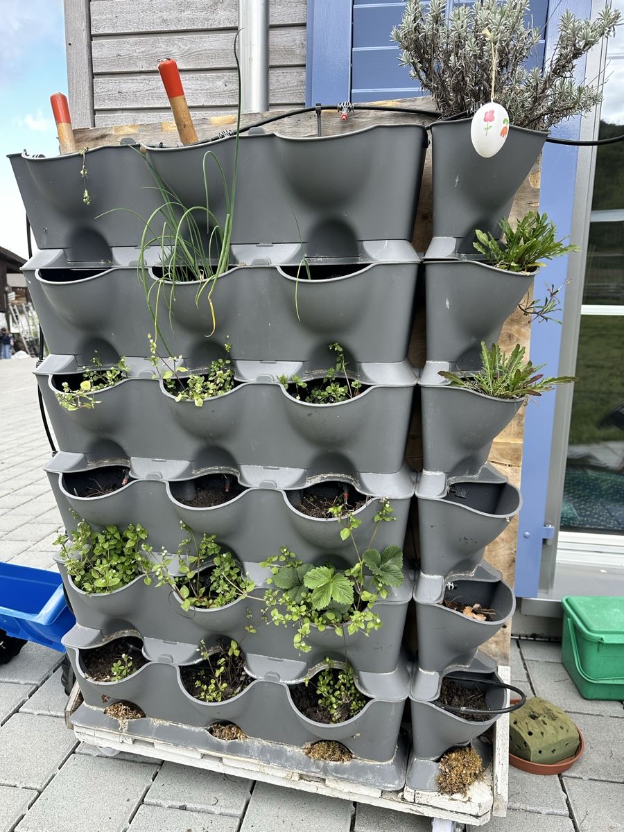 Box contenitori: Vertikaler Garten, Gardena mit Bewässerungssystem! – Usato da Mettendorf TG venduto da Pinova02