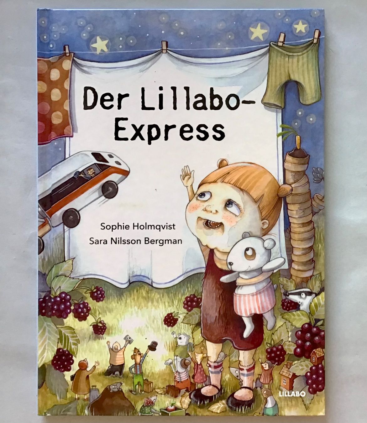 Libri: Bilderbuch: Der Lillabo-Express – Usato da Bubendorf venduto da Alpenheidi