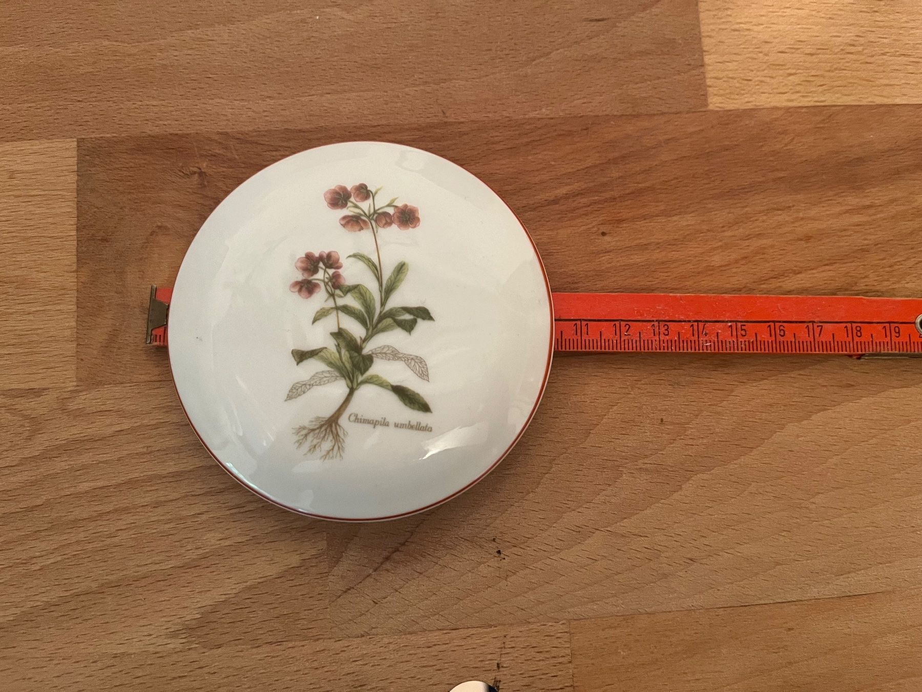 Tazze: Teetasse mit Deckel von Lang Ebrach – Usato da Zollikofen venduto da pico27 2