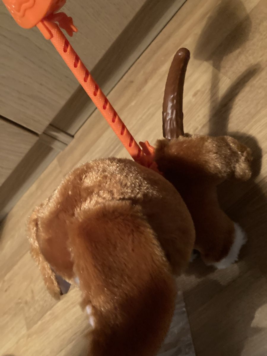 FurReal Jouets: Fur Real Friends Hund Poopalots – D'occasion à Emmenbrücke par JJ_89 2