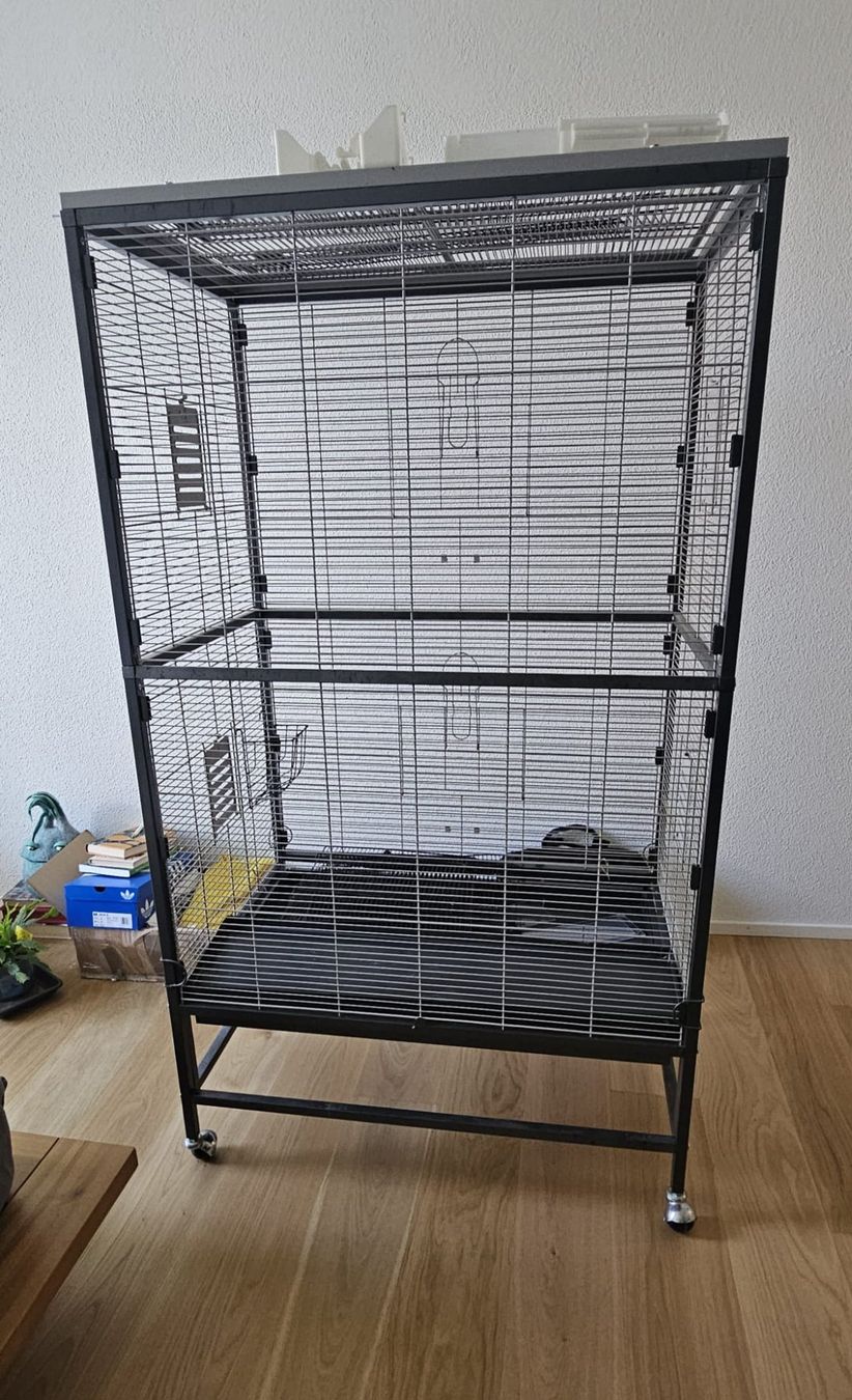 Gabbie, trasporto & Sicurezza: Vogelkäfig  / Nagetierkäfig – Usato da Baden venduto da mor_qlk6