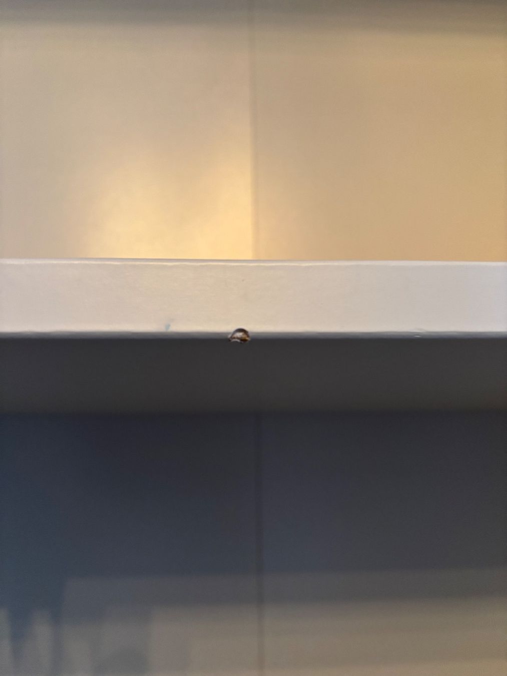 Ikea Scaffali: IKEA Billy Regal mit Wienergeflecht – Usato da Horgen venduto da Anatolia 5