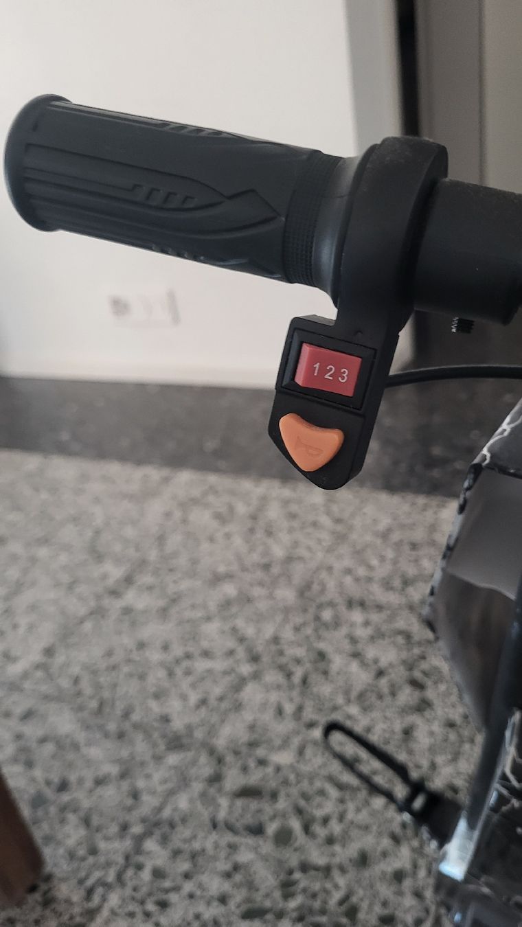 Sonstige: Elektro Trike – Gebraucht aus zürich von wuscheli0102 1