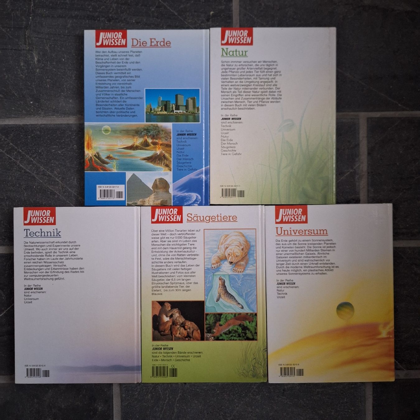Libri: Buchreihe Junior Wissen – Usato da Schübelbach venduto da rab02 1