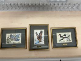 Cash's Collector Serie, 3 Vogelbilder, gewebt, gerahmt 57