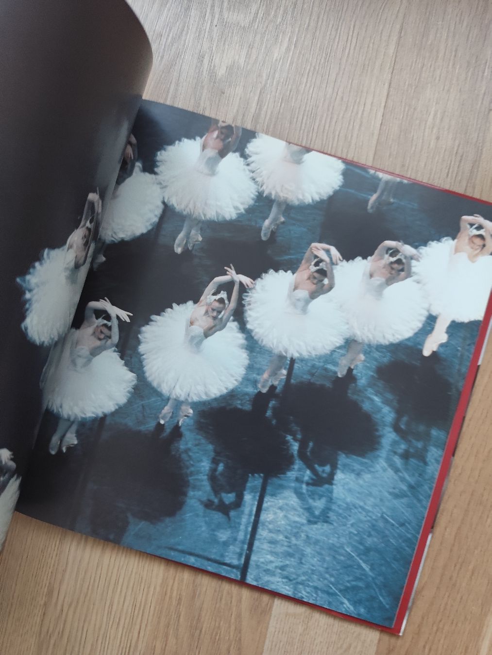 Libri: Danse book photos Jacques Moatti ballet Paris Opera – Usato da Mägenwil venduto da VintageGirly 3