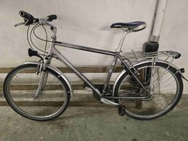 Wheeler Trek 1200 Fahrrad silbergrau guter Zustand