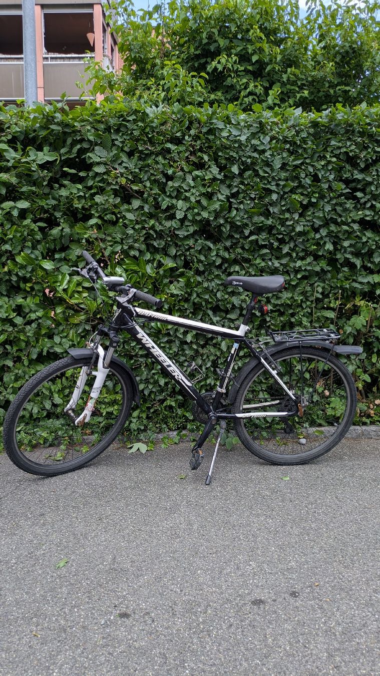 Wheeler Biciclette: Wheeler 26" Citybike – Usato da Lenzburg venduto da Okikukok