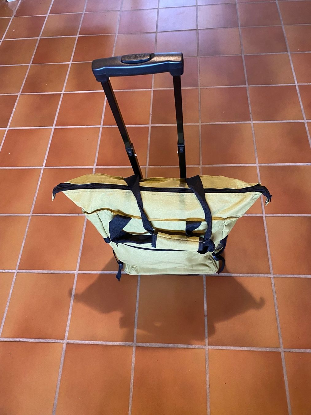 Valigie: Rollkoffer, hellgrün, gebraucht, guter Zustand – Usato da Hinwil venduto da allerlei0815 3