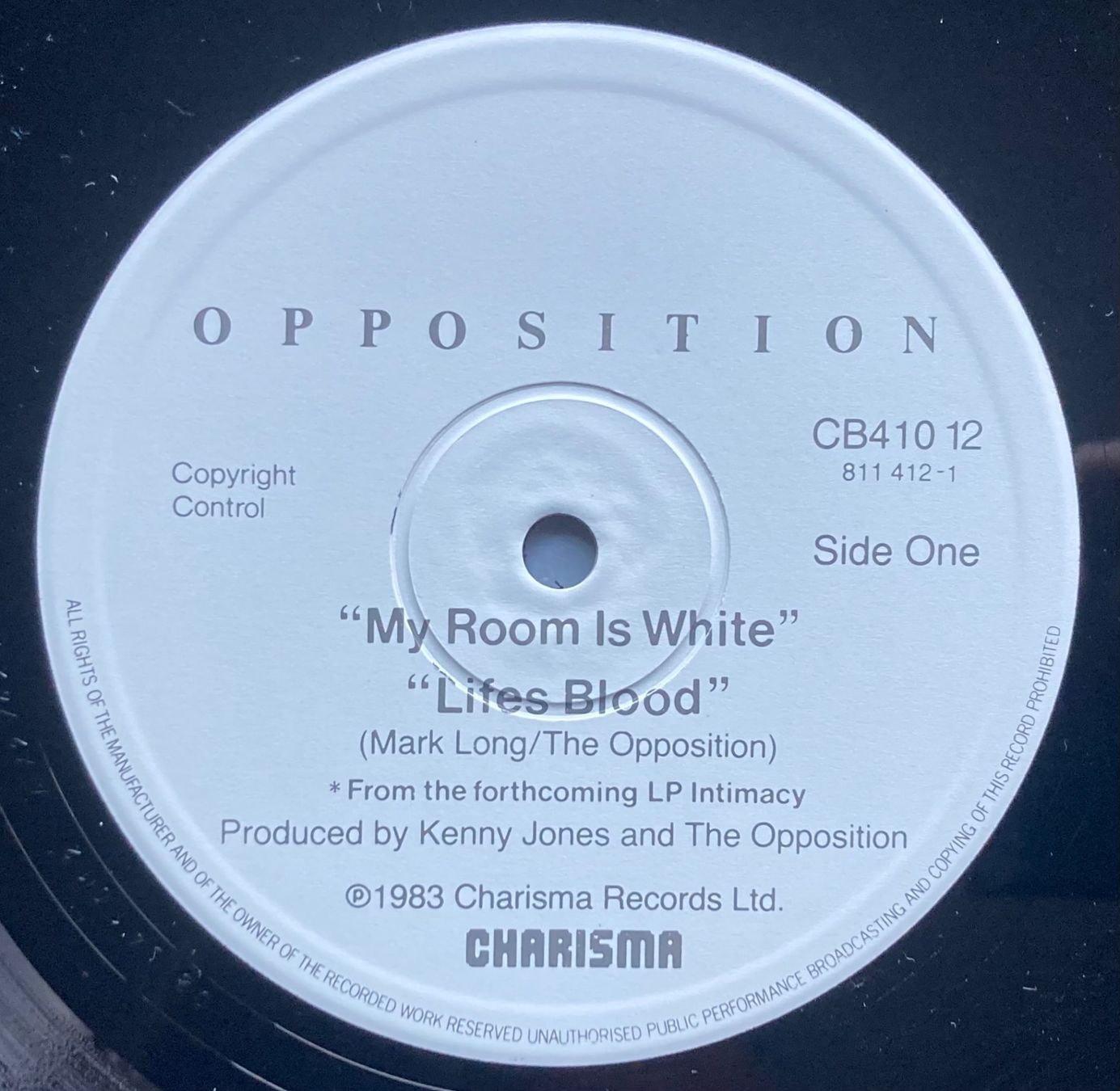 Dischi in vinile: OPPOSITION - MY ROOM IS WHITE – Usato da Poliez-Pittet venduto da Newtown-Records 2