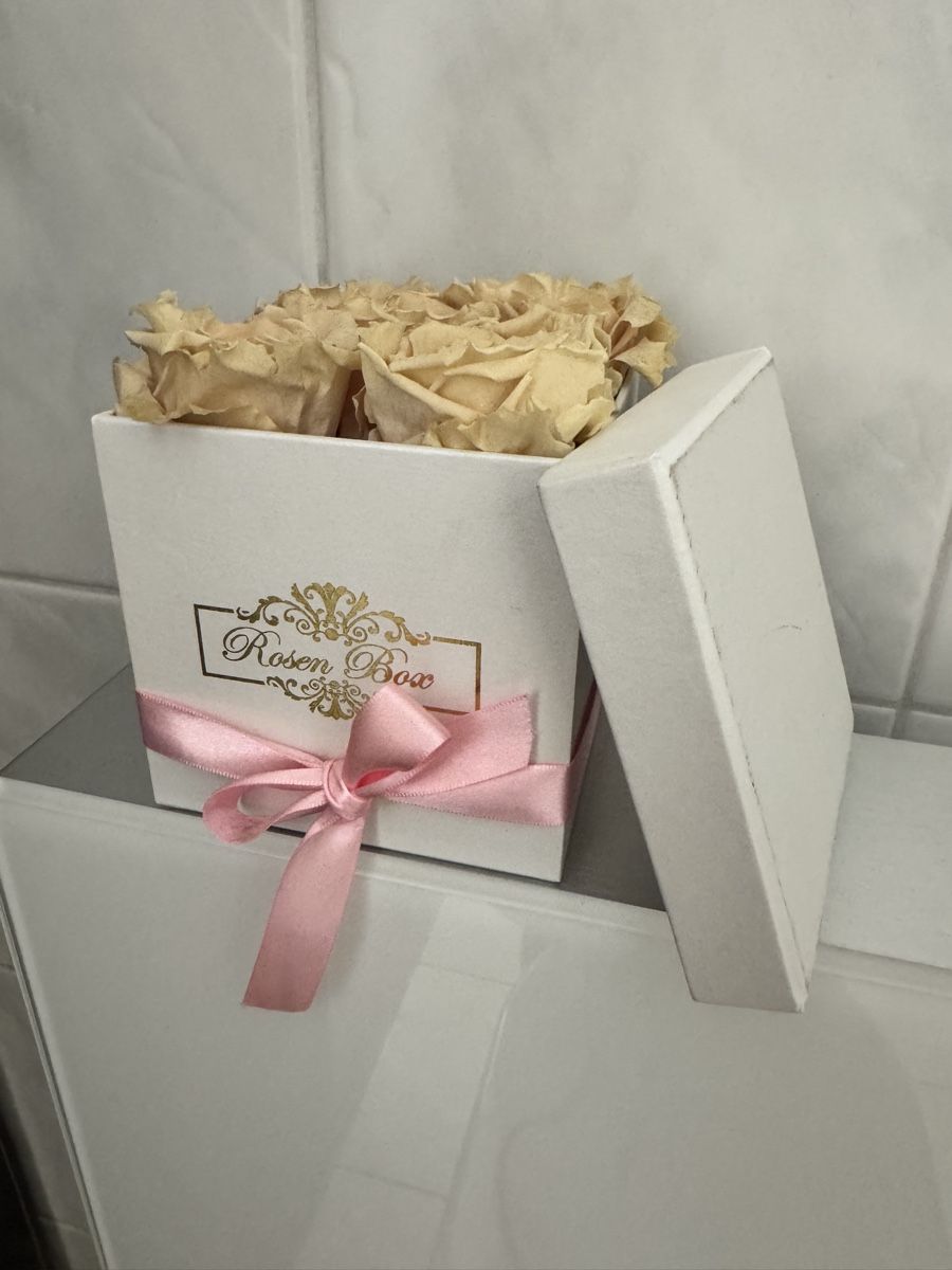Plantes & graines: Rosenbox mit echten rosa Rosen – Neuf (Voir description) à Bremgarten AG par val_ch